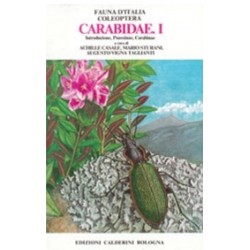 EB417 - Casale et al. - Fauna d'Italia - Coleoptera Carabidae I
