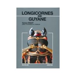 EB449  Longicornes de Guyane