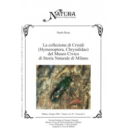 EB373 - Rosa - La collezione di Crisidi del Museo Civico di Storia...